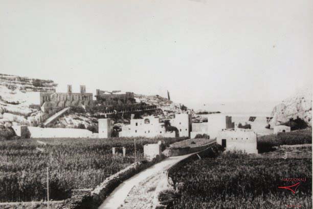 Harvest time in Xlendi