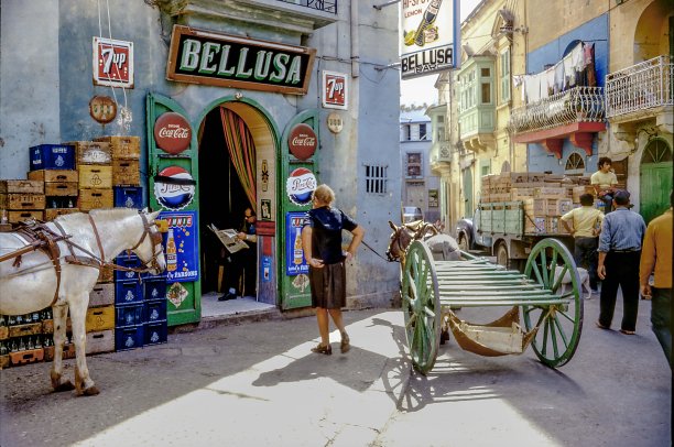 Bellusa Cafe in Victoria