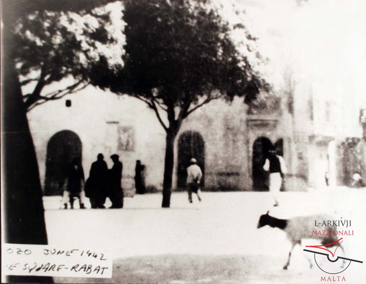 It-Tokk and Sir Mikelanġ Refalo Street