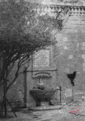 Dolphin fountain at the Citadel