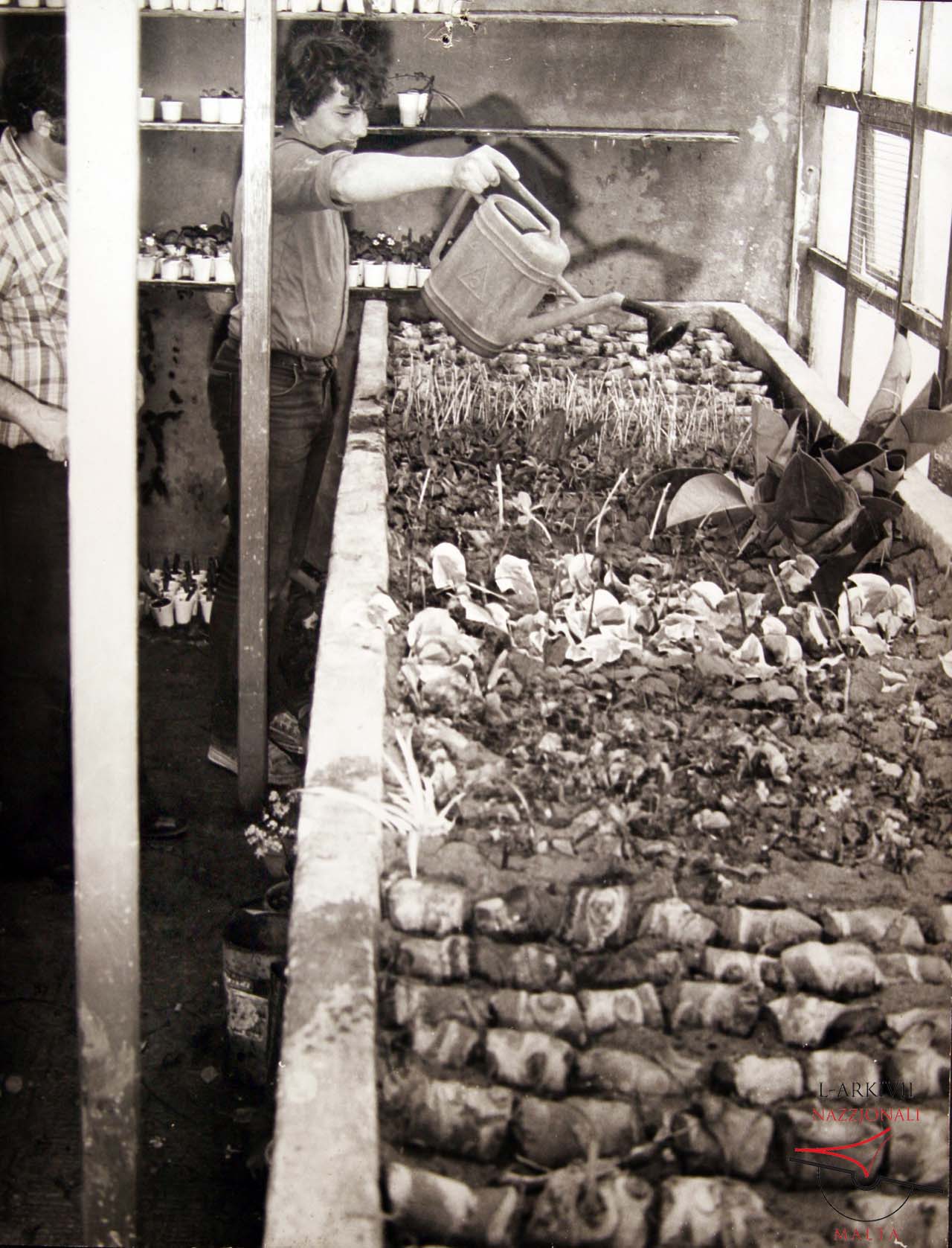 Gozo Experimental Farm