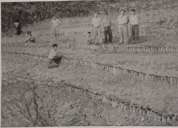 Preparing Fireworks for St Mary’s Feast