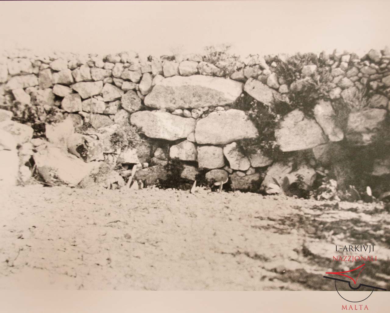 Tal-Bardan in Sannat