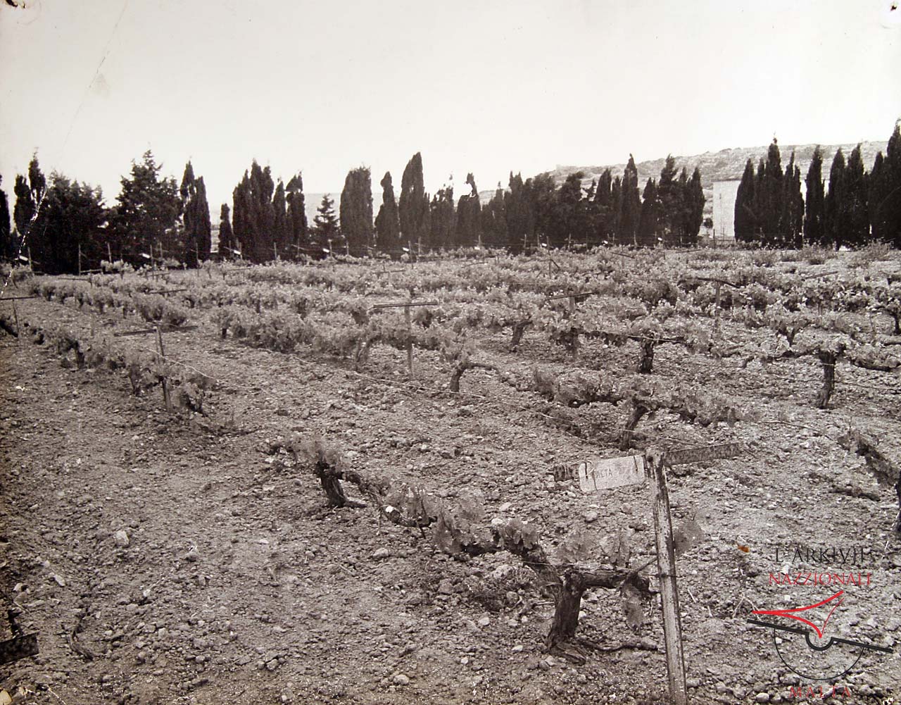 Gozo Experimental Farm
