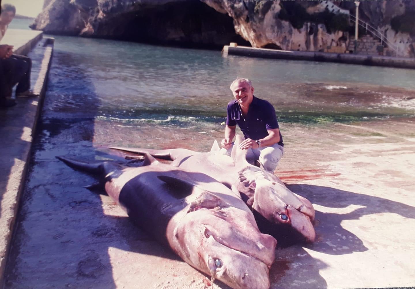 Man posing with large sharks