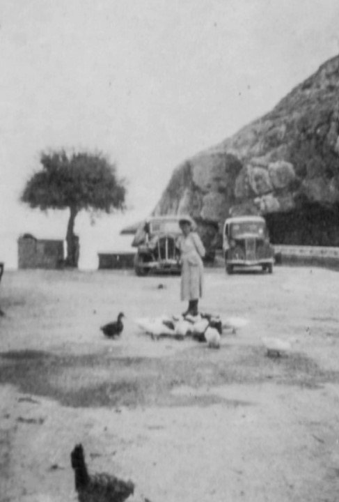 Feeding ducks in Xlendi