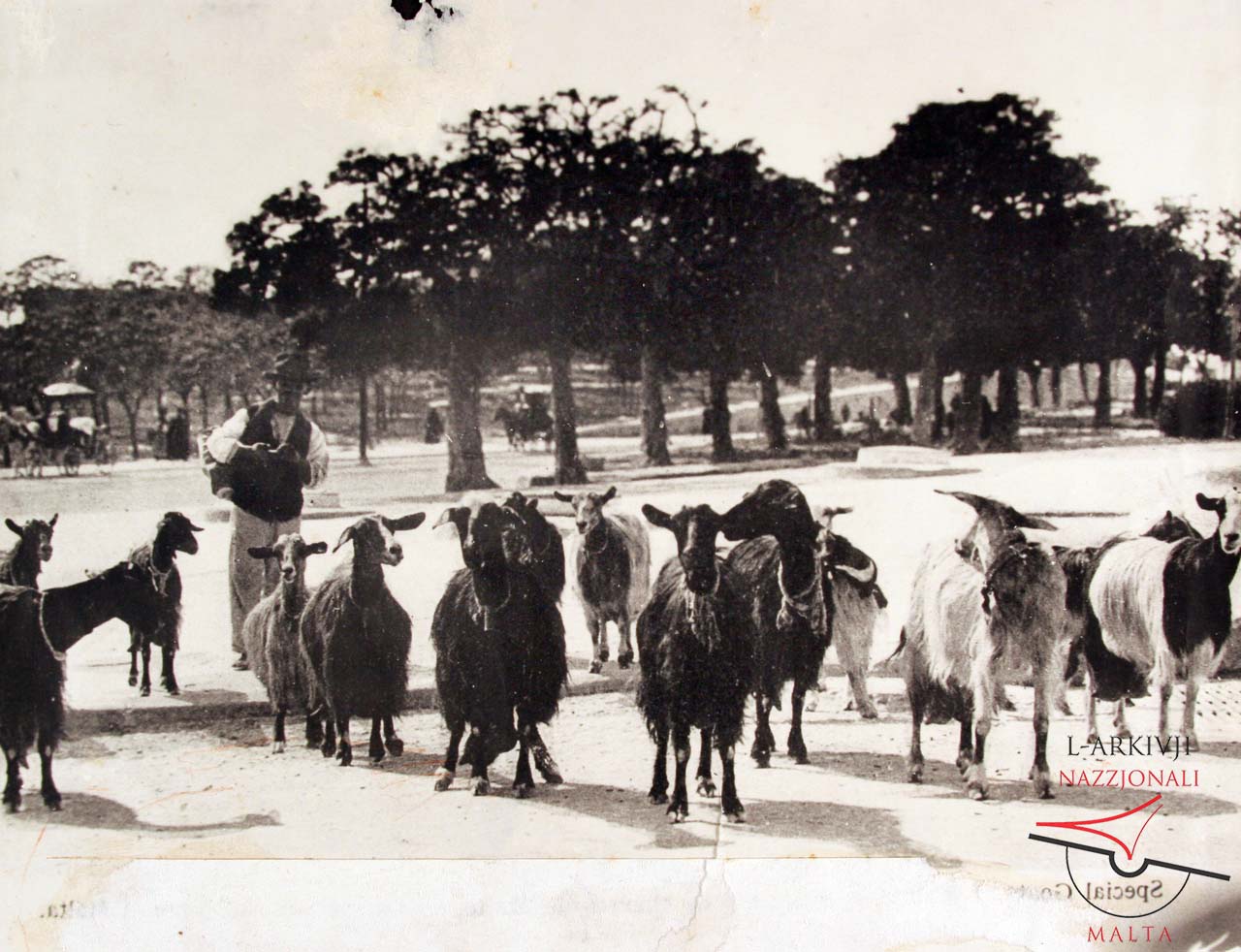 Street scene in Victoria
