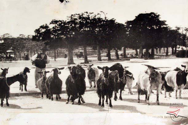 Street scene in Victoria
