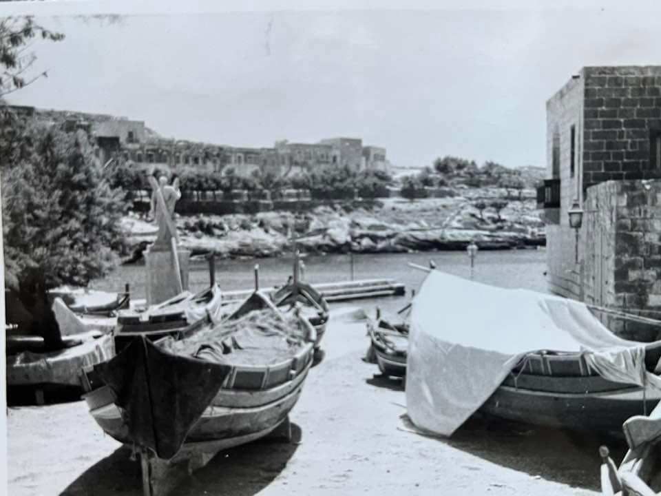 Fishing boats by the shore