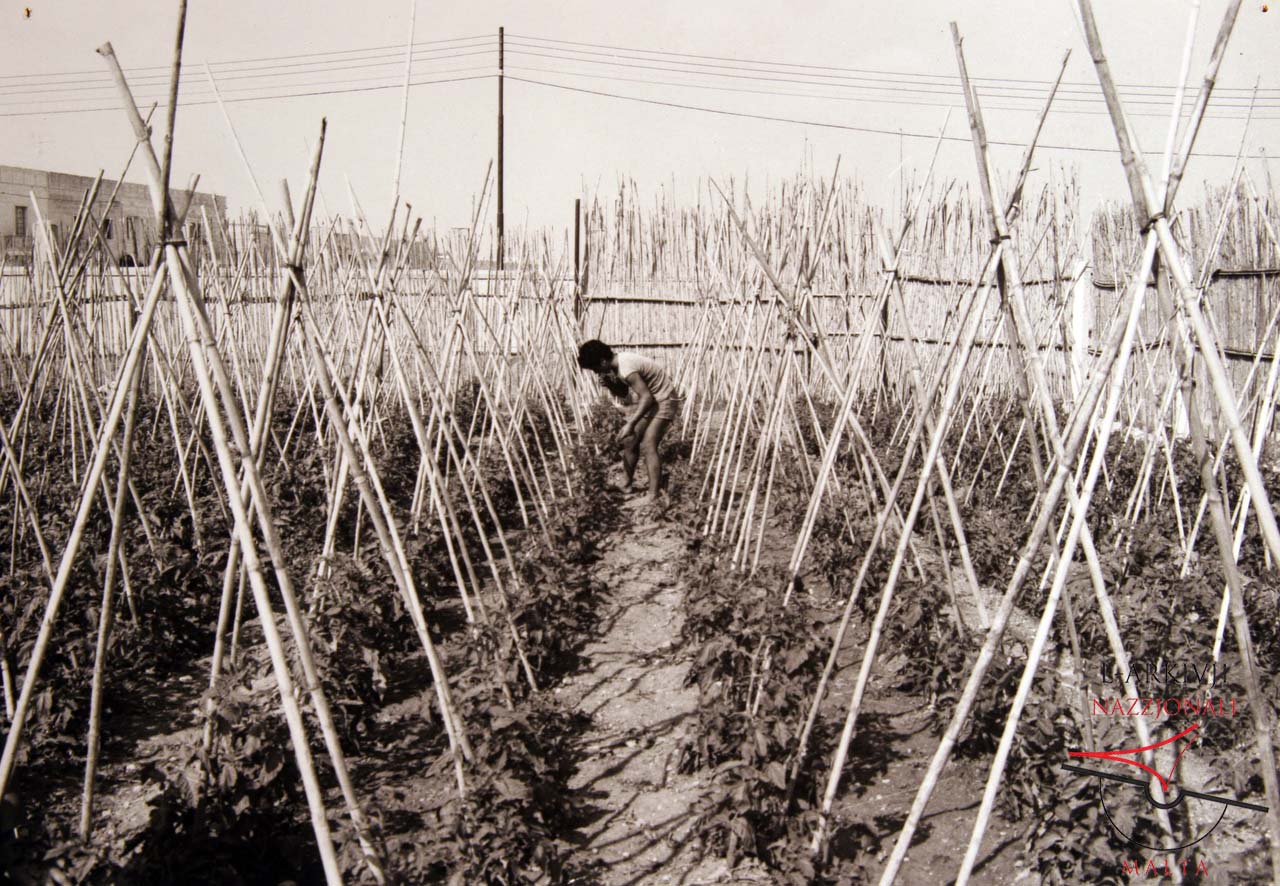 Agricultural Training Centre