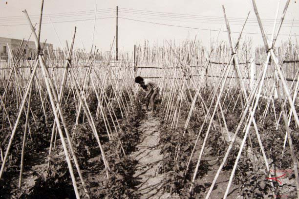 Agricultural Training Centre