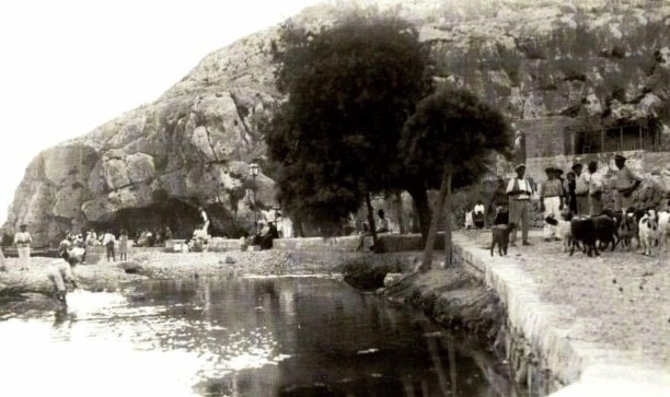 Shepherds and livestock by Xlendi bay