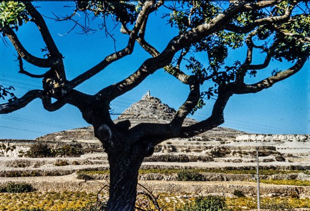 Tas-Salvatur Hill framed by nature