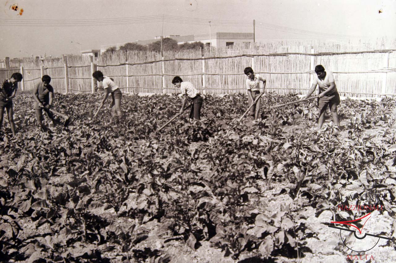 Agricultural Training Centre