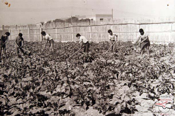 Agricultural Training Centre