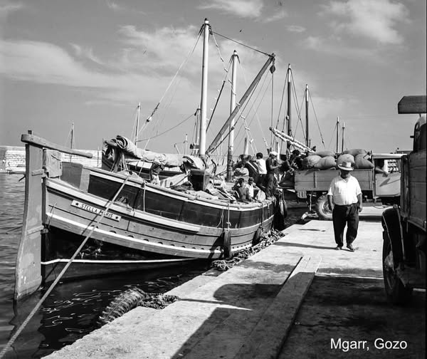 Daily trade at Mġarr Harbour