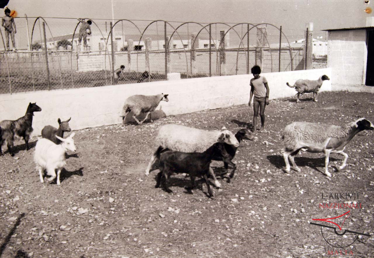 Gozo Experimental Farm