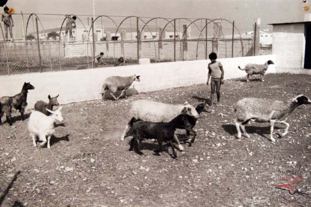 Gozo Experimental Farm