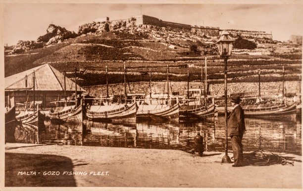 Fishing boats at Mġarr Harbour