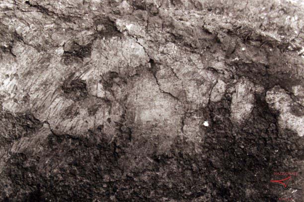 Roman Villa excavation wall detail