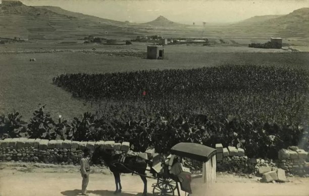 A view from Belliegħa