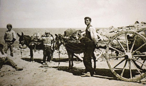 Postcards of two donkey carts used in agriculture