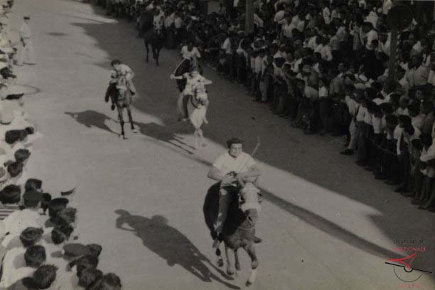 Santa Marija horse races