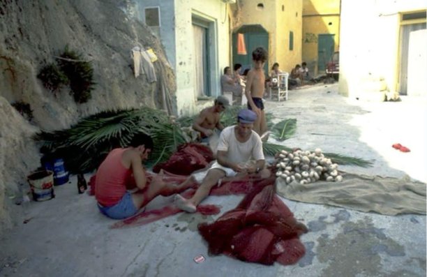 Fishermen at work in Xlendi
