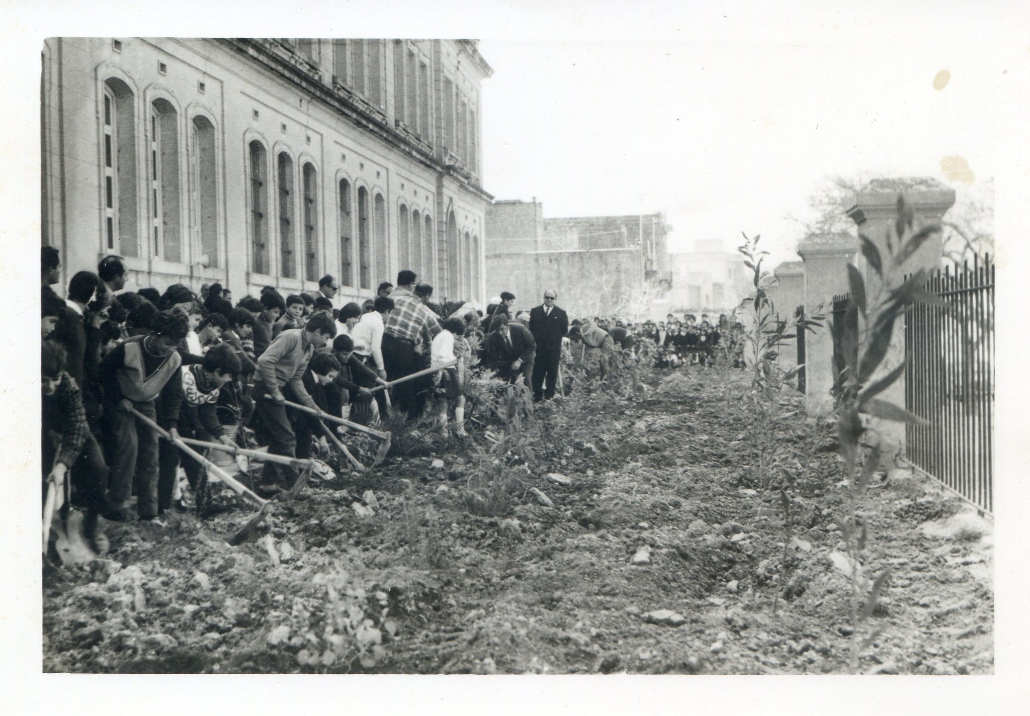 Arbor Day at Nadur Primary