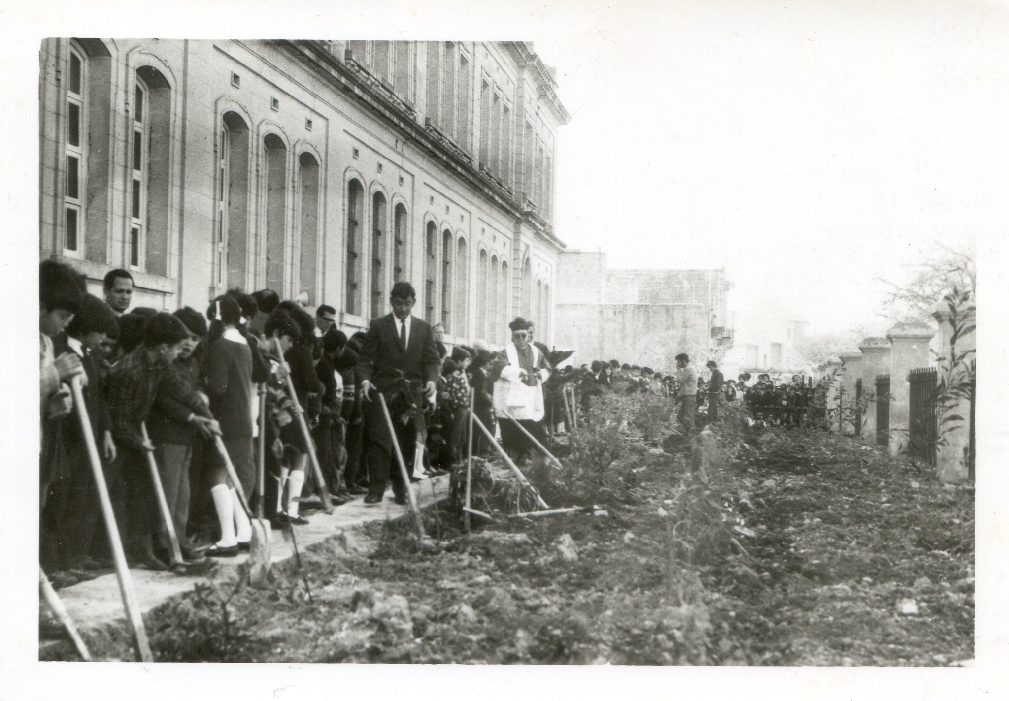 Arbor Day at Nadur Primary