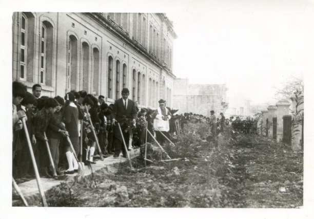 Arbor Day at Nadur Primary