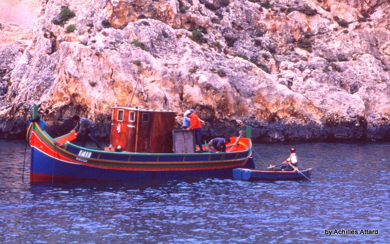 Boat scene in Xlendi Bay