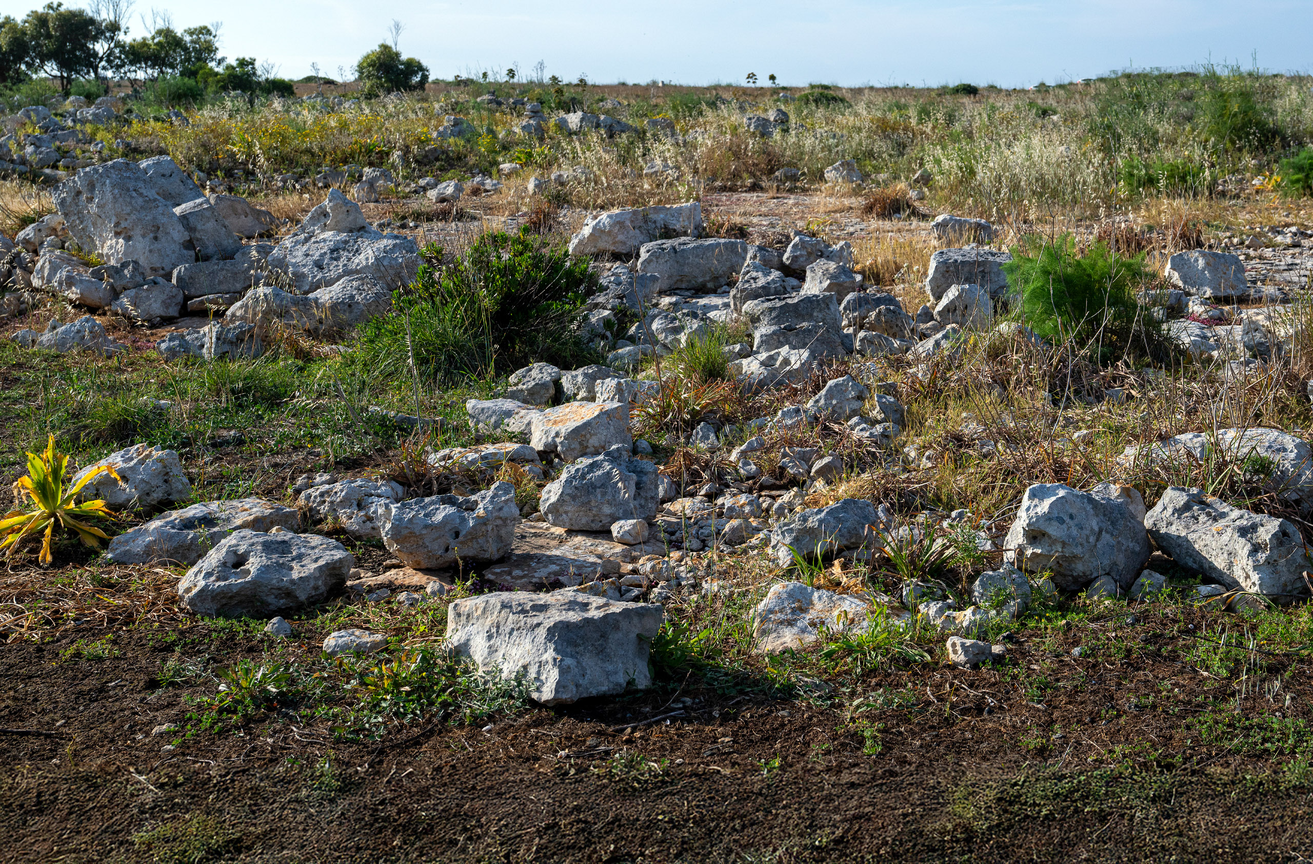 Apse at Borg tal-Imramma Temple