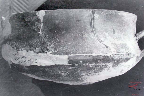 Ġgantija Temples - Pottery receptacle