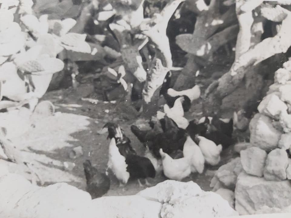 The original Pergola farmhouse