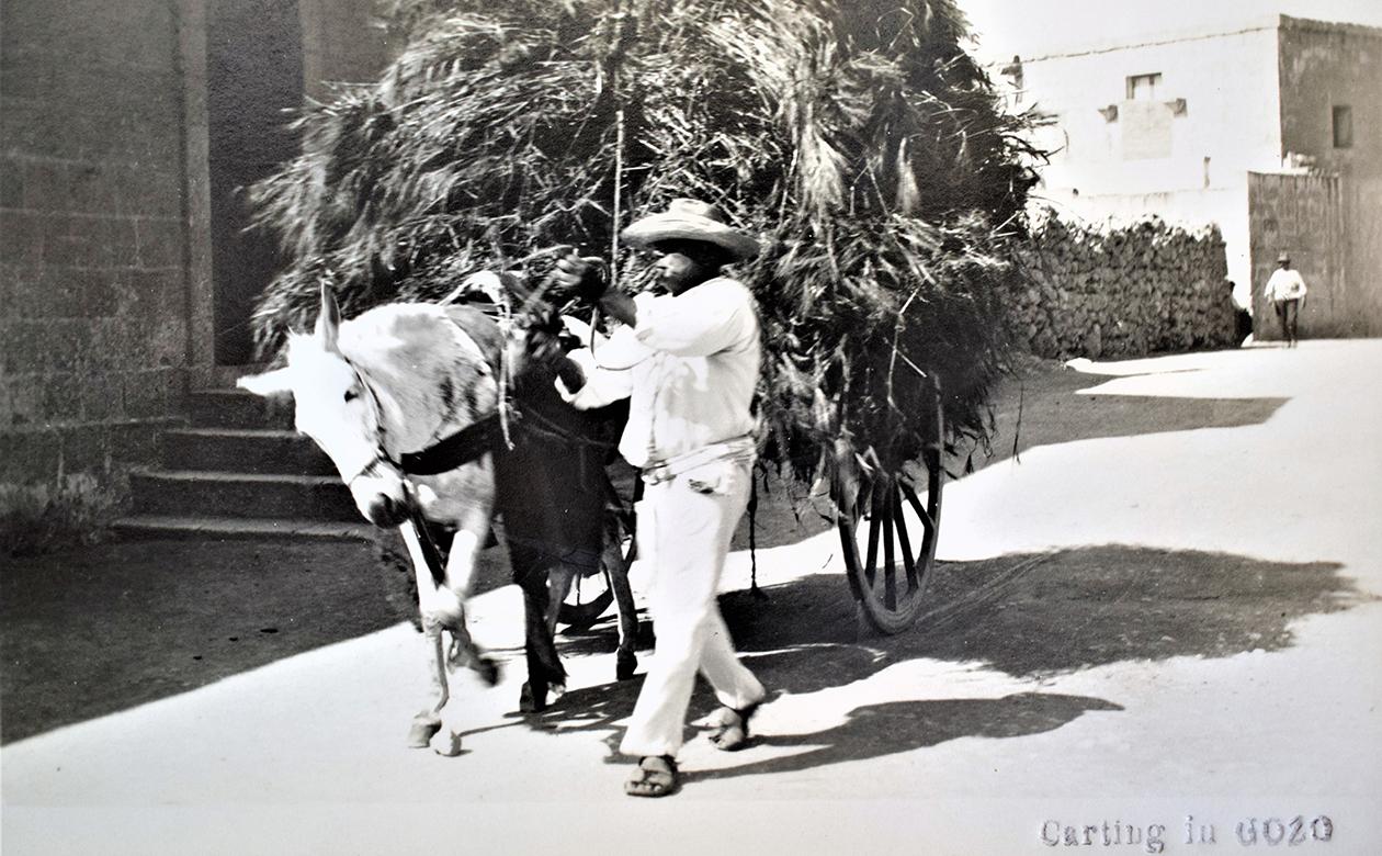 Carting in Gozo