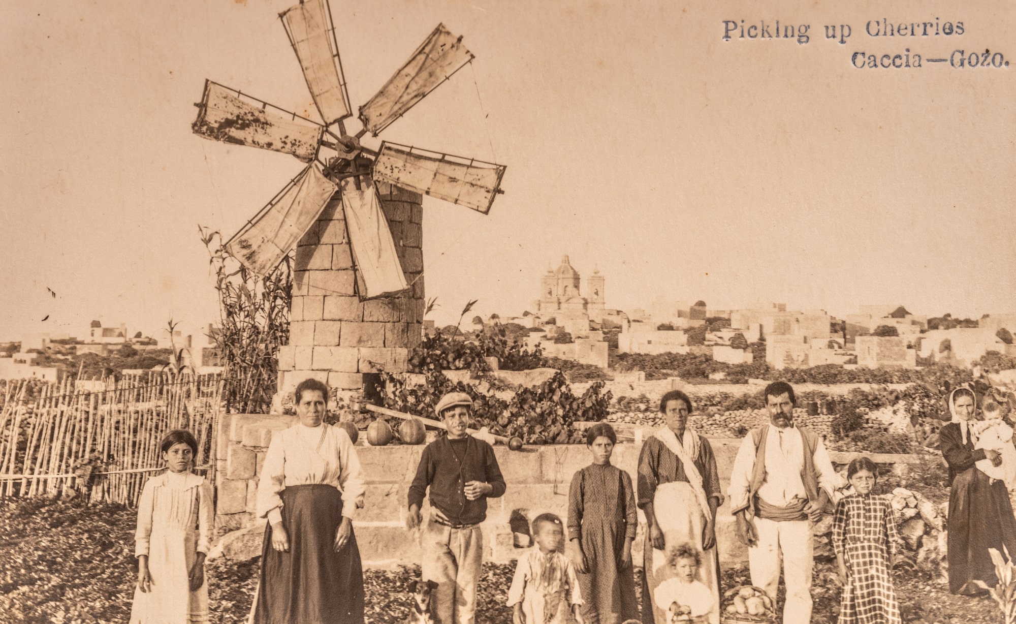 Cherry picking in Xagħra