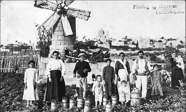 Cherry Picking in Xaghra