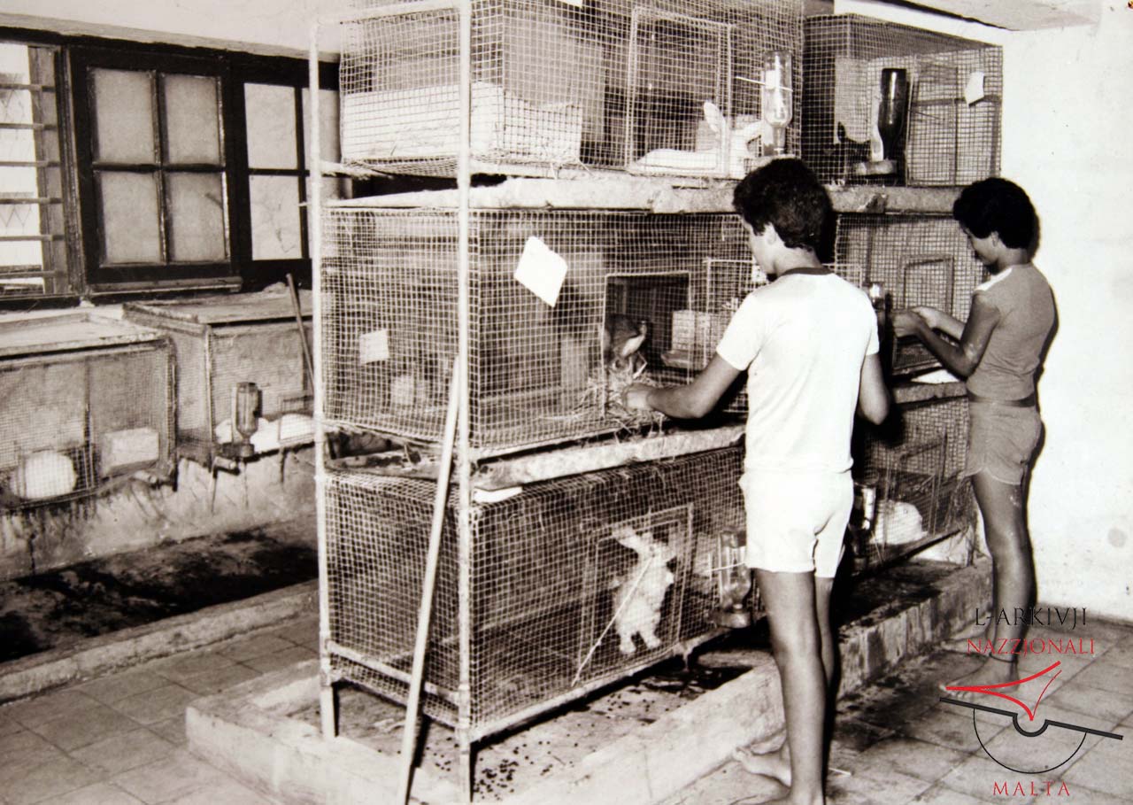 Agricultural Training Centre