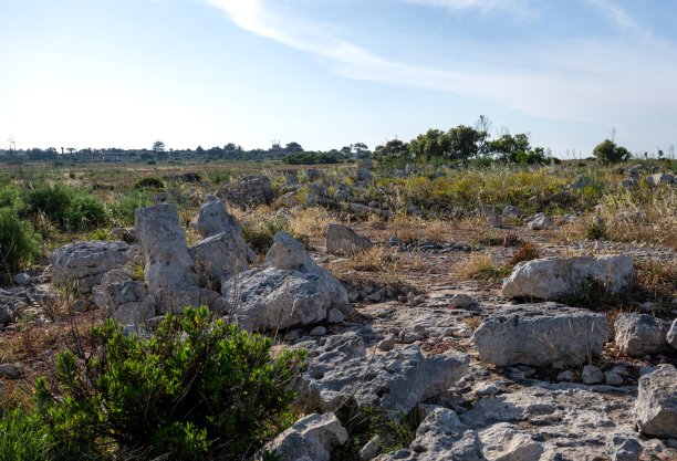 Borġ tal-Imramma Temple ruins
