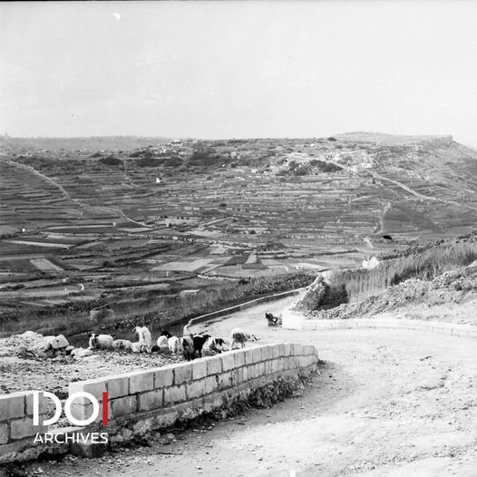 Road to Ramla Bay from Nadur