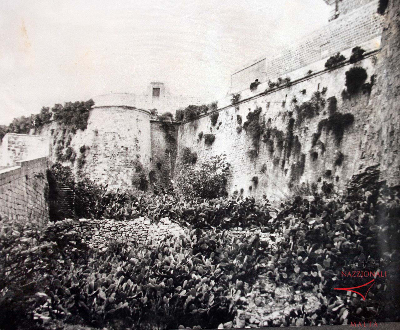 Orillon, curtain and ditch of the Citadel