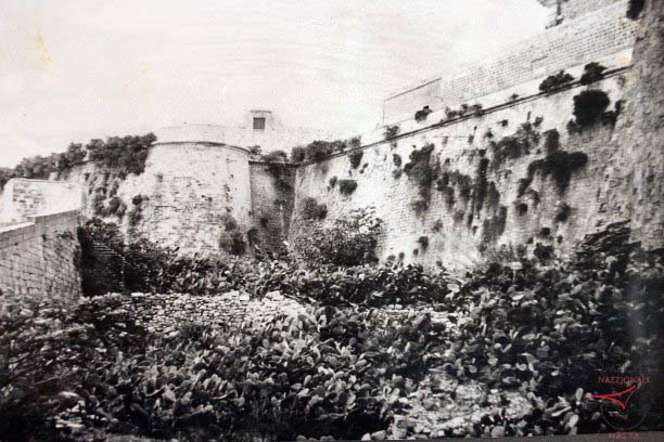 Orillon, curtain and ditch of the Citadel