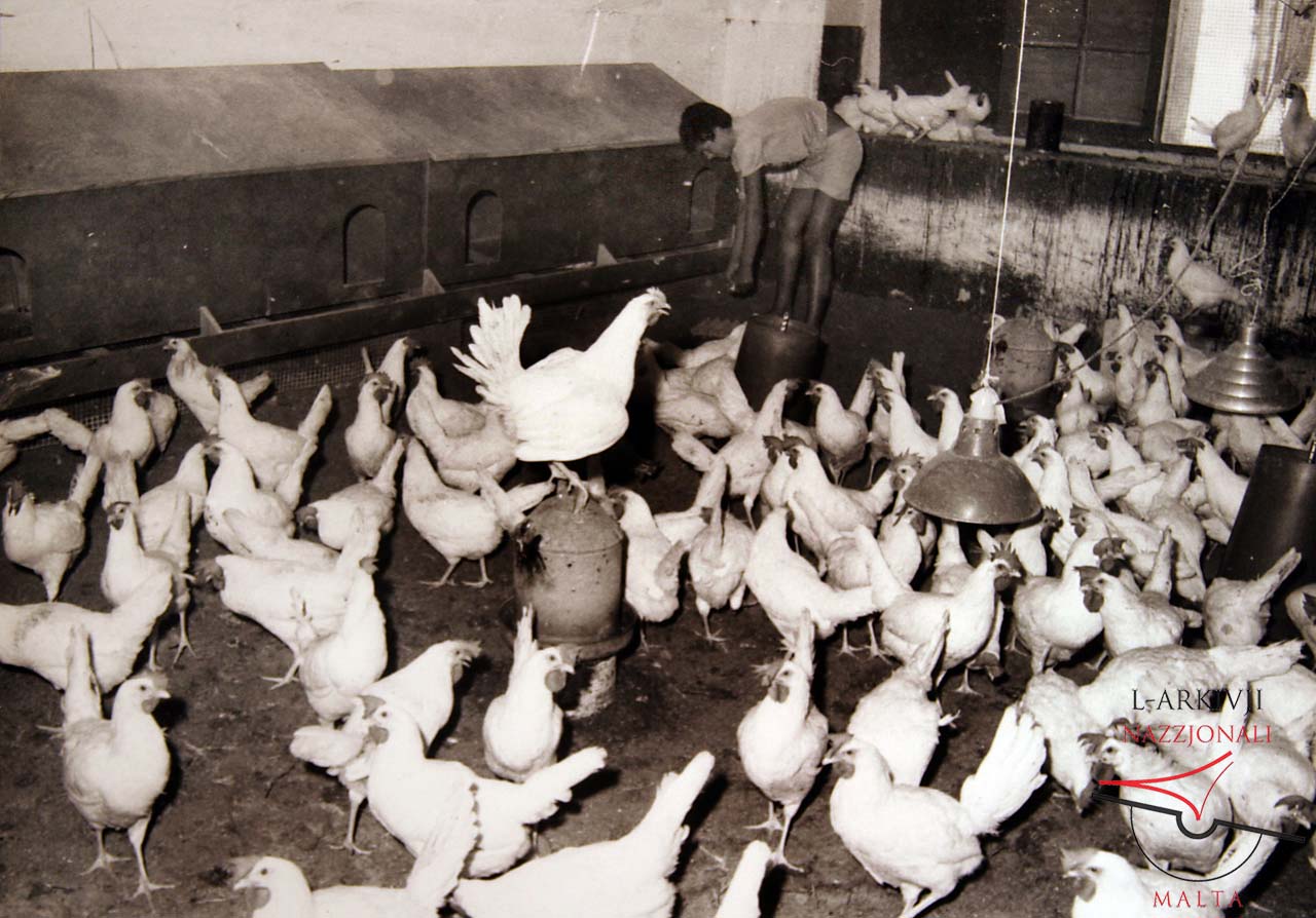 Agricultural Training Centre