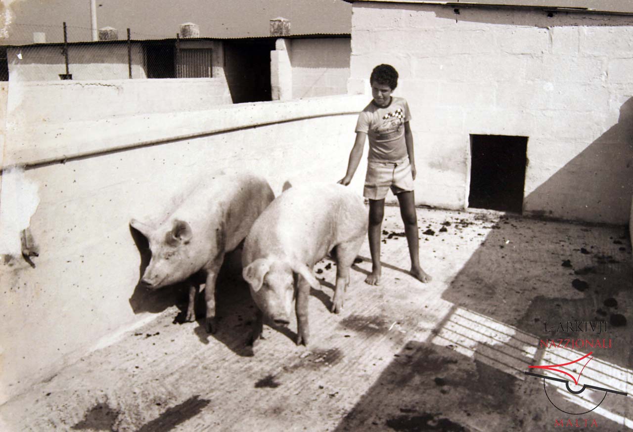 Gozo Experimental Farm