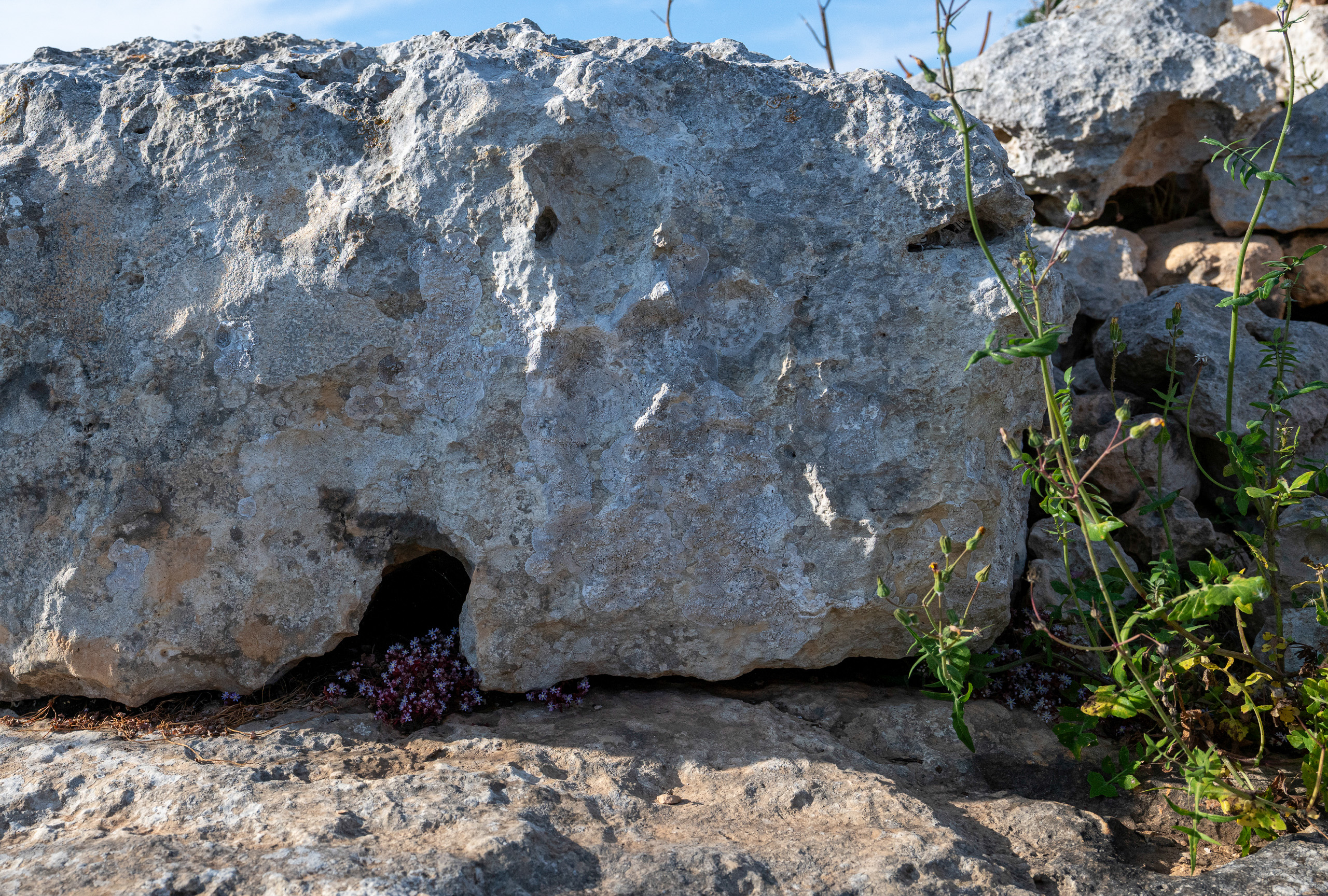 Borġ tal-Imramma temple in Ta’ Ċenċ