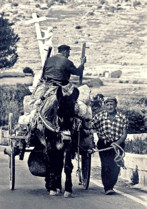 Transporting tools by horse