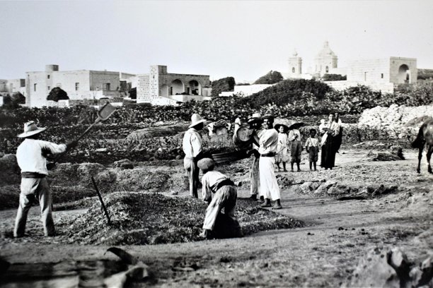 Farmers working the field