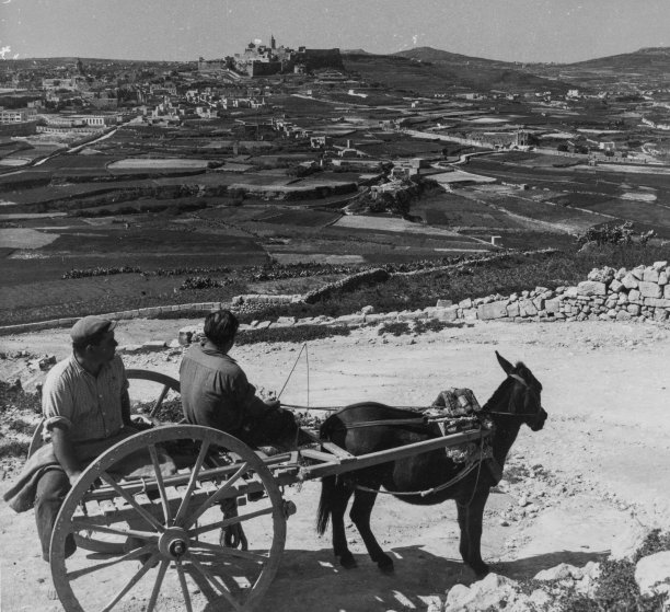 View of Citadel from Xaghra