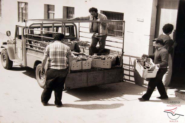 Gozo Experimental Farm
